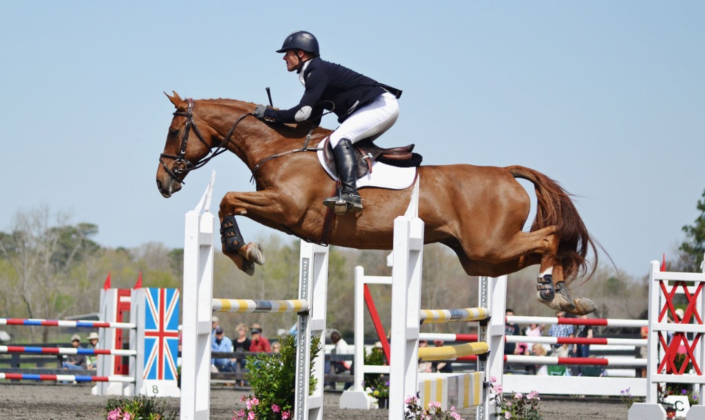 Michael Pollard Show Jumping